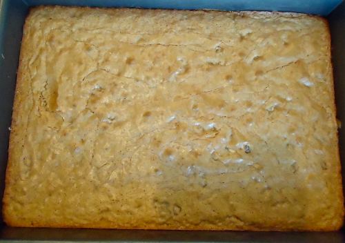 baked and in the pan