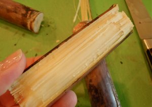 sugar cane pulp