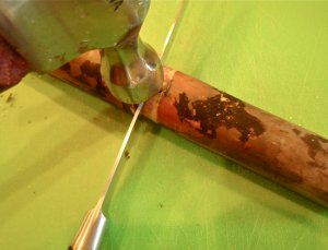 cutting sugar cane from the stalk