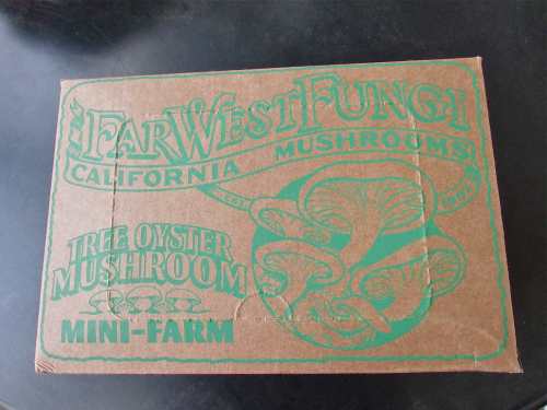 The box arrives! These were "born" in California. 