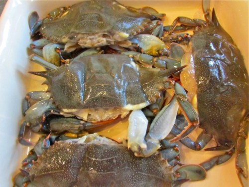 Here are my crabs waiting for their milk bath. 