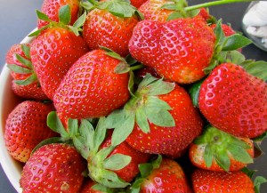 These luscious beauties deserve a great shortcake and real whipped cream!